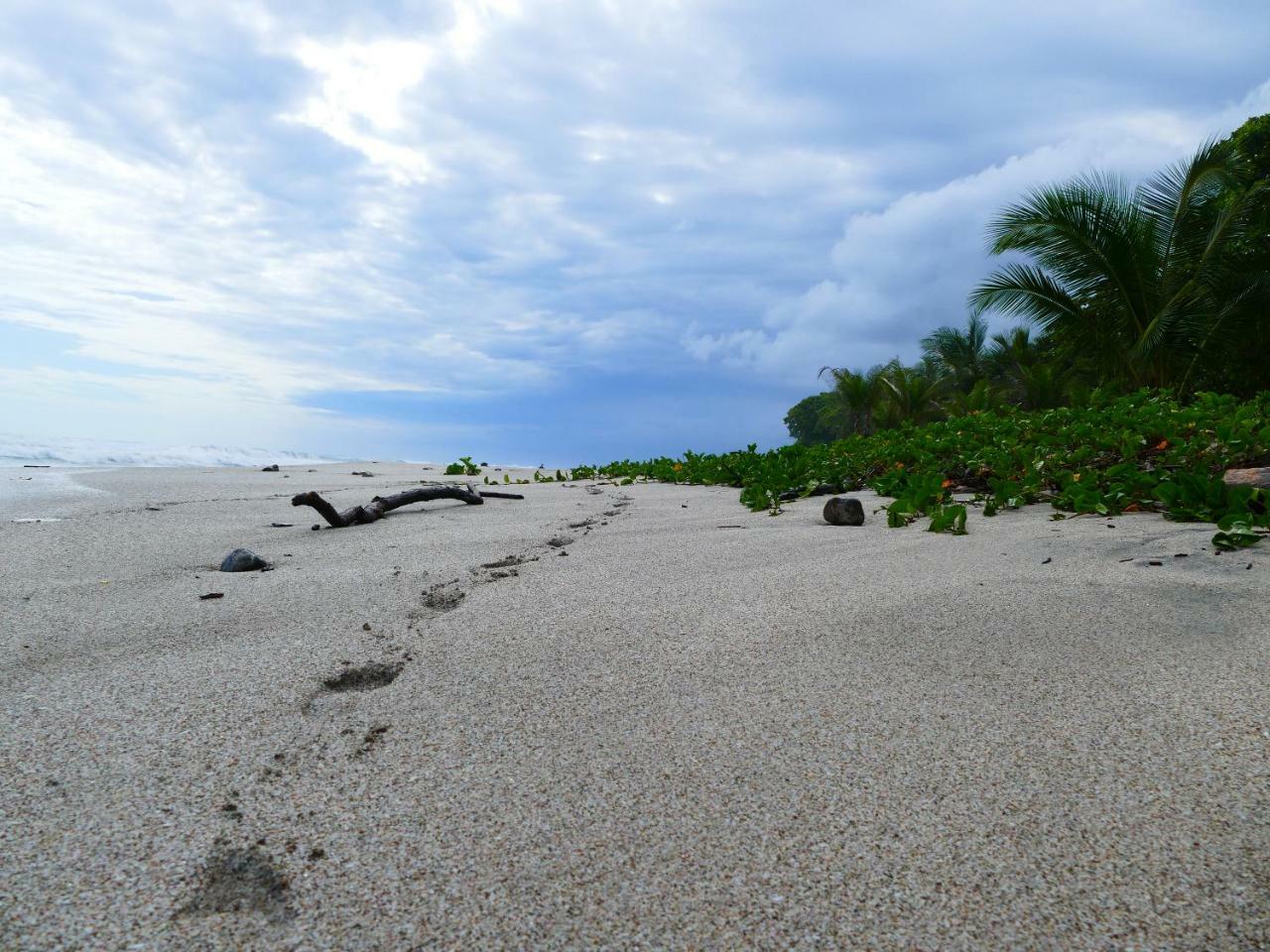 Maoritsio Garden Studios Playa Santa Teresa  Zewnętrze zdjęcie
